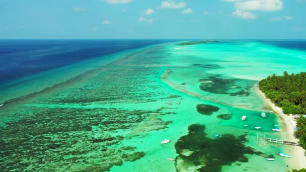 Neon Grüne Und Blaue Meereslandschaft Naturszene Jamaikas Karibik — Stockvideo