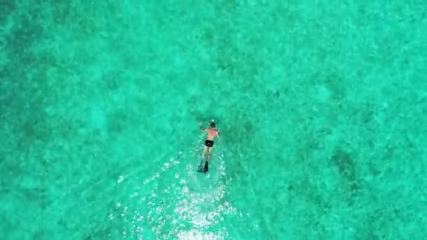 Mercan Resifinin Üzerinde Egzotik Açık Denizde Şnorkelle Yüzen Genç Adam — Stok video
