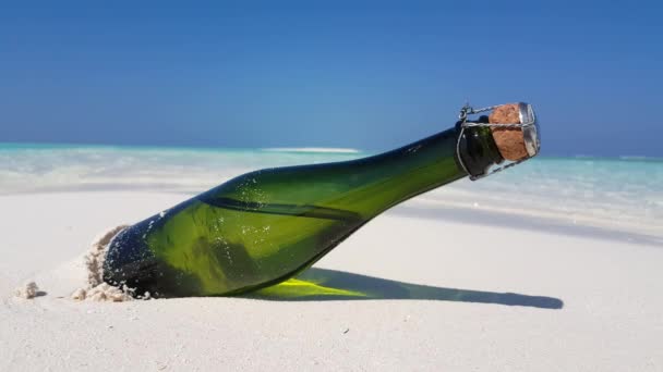 Бутылка Песчаном Пляже Поездка Бора Бора Французская Полинезия — стоковое видео