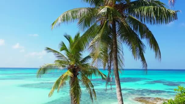 Turkos Strandlinje Mitt Dagen Tropisk Semester Bahamas Karibien — Stockvideo