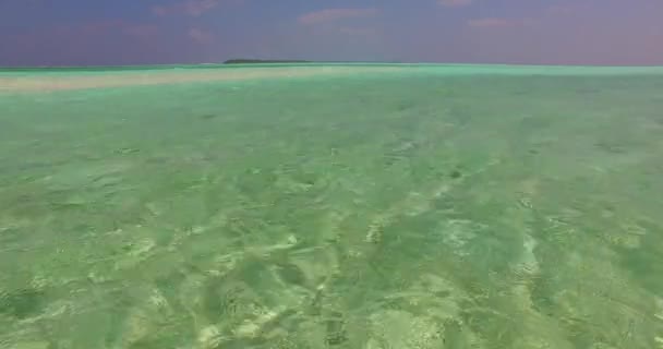 Εξωτικός Χαρακτήρας Του Bora Bora Γαλλική Πολυνησία — Αρχείο Βίντεο