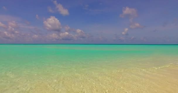 Costa Con Mar Cristal Naturaleza Soleada República Dominicana Caribe — Vídeos de Stock