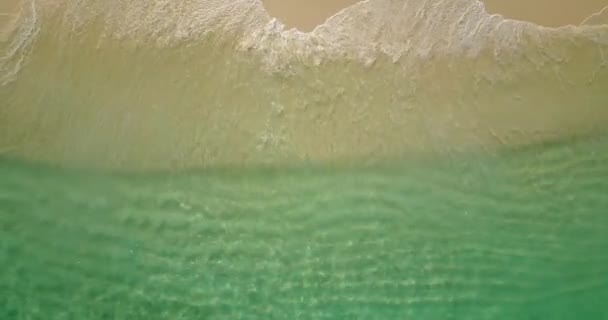 Top View Turquoise Waves Running White Sandy Beach Summer Vacation — Stock Video