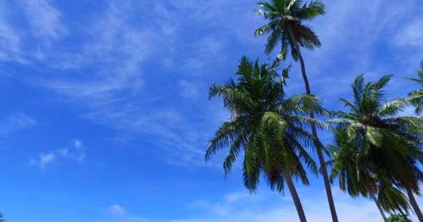 Paraíso Sereno Paisaje Marino Con Mar Turquesa Naturaleza Tropical Bora — Vídeos de Stock