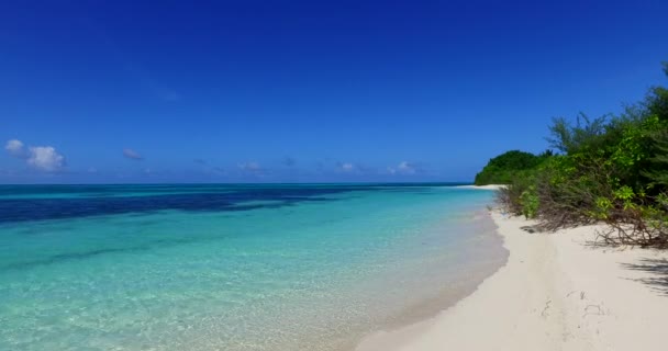 Cabalgata Mar Serena Mediodía Escena Natural Jamaica Caribe — Vídeos de Stock