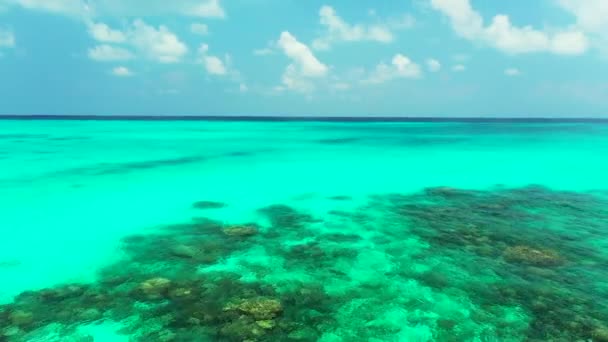 Parlak Turkuaz Renklerle Deniz Kenarı Bahamalar Cennet Sahnesi Karayipler — Stok video