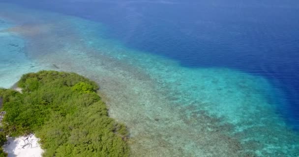 Marin Naturlig Bakgrund Sommarstämning Bali Indonesien — Stockvideo