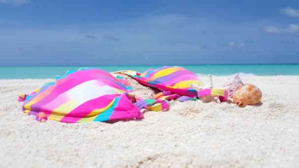 Kolorowe Bikini Plaży Tropikalny Charakter Bali — Wideo stockowe