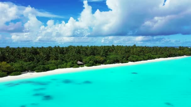 Schöner Tropischer Strand Mit Palmen Weißem Sand Türkisfarbenem Meerwasser Und — Stockvideo