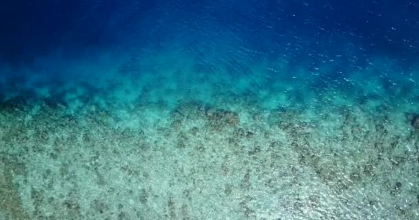 Vista Superior Del Mar Turquesa Con Olas Exótica Escena Veraniega — Vídeo de stock