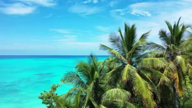 Palmiye ağaçları, beyaz kum, turkuaz okyanus suyu ve Karayipler 'deki bakir adaların mavi gökyüzü olan güzel tropikal plajlar.