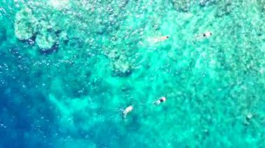 Turistler turkuaz suda yüzüyorlar. Barbados, Karayiplerin güneşli doğası. 