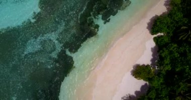 Deniz yosunlu kıyı şeridi manzarası. Dominik Cumhuriyeti, Karayipler 'de yaz cenneti.