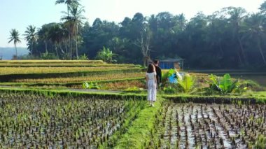 Pirinç tarlalarında yürüyen çiftin videosu.