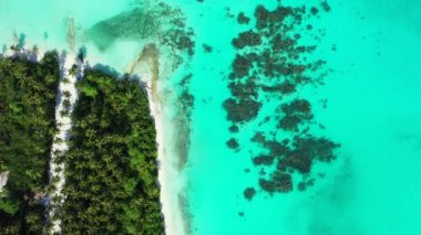 Tropikal denizi olan yeşil deniz manzarası. Tayland, Asya 'da yaz tatili.  