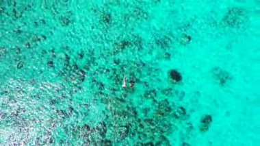 Doğal dalgalı okyanus arka planı. Hawaii, ABD 'nin egzotik manzarası.
