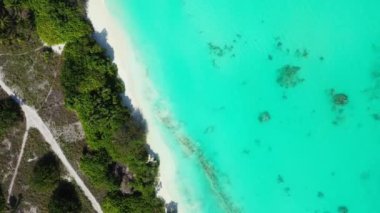 Turkuaz suyla kaplı yeşil ada. Barbados, Karayiplerin güneşli doğası. 