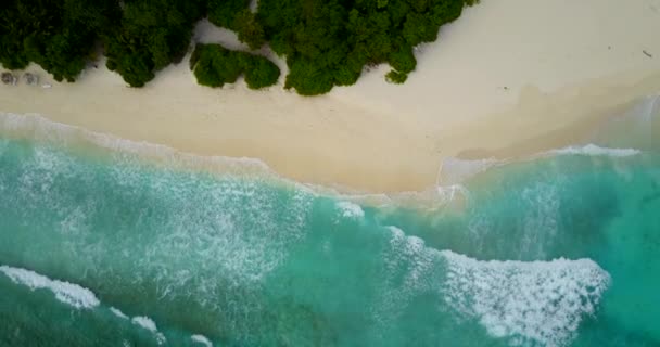 昼間の海辺の景色 カリブ海のバルバドスへのエキゾチックな旅 — ストック動画