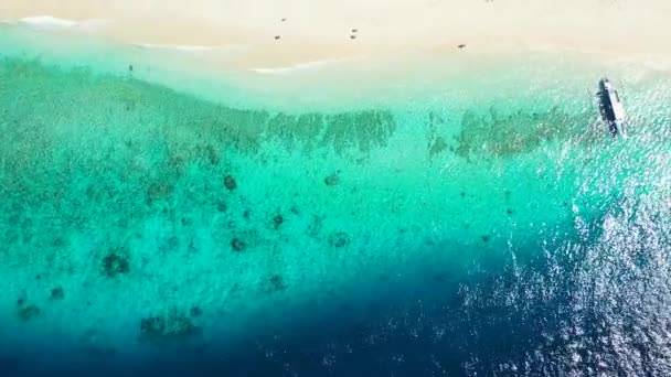 Turquoise Aguas Profundas Del Mar Azul Viaje Verano Indonesia — Vídeo de stock