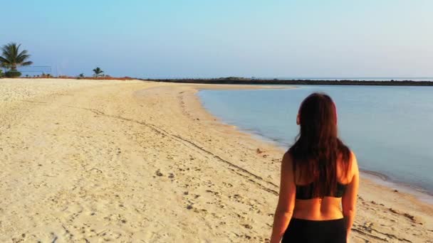 迷人的年轻女子穿着泳衣 在美丽的岛屿海洋边的耳机里放松 散步和听音乐 — 图库视频影像