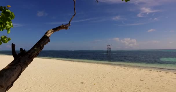 Piaszczysta Plaża Tropikalnej Wyspy Wakacje Australii Oceania — Wideo stockowe