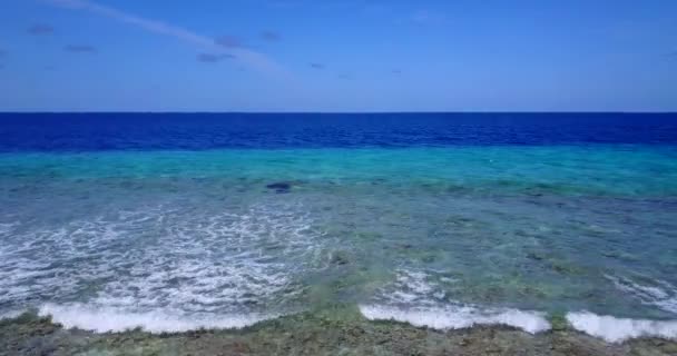 平静地在岸边荡漾着浪花 巴巴多斯热带天堂 加勒比 — 图库视频影像