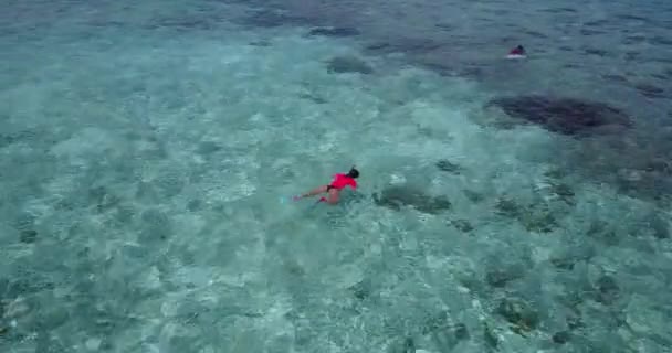 Turistas Buceando Aguas Poco Profundas Viaje Bora Bora Polinesia Francesa — Vídeo de stock