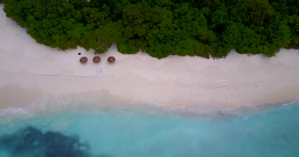 穏やかな海の景色をお楽しみください ドミニカ共和国 カリブ海のエキゾチックな自然 — ストック動画