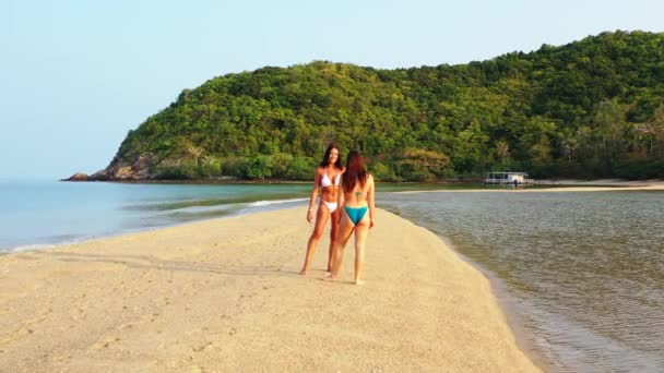 Deux Jeunes Amies Bikini Debout Sur Côte Parlant Belles Femmes — Video