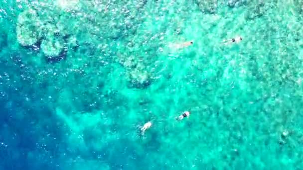 Touristen Schwimmen Türkisfarbenen Wasser Sonnige Natur Von Barbados Karibik — Stockvideo