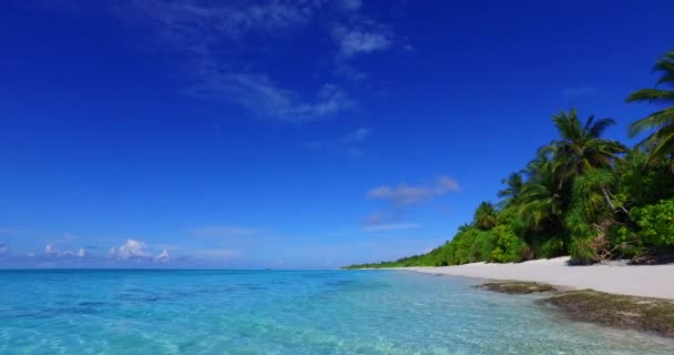 Kalm Zeewater Aan Kust Zomer Ontspannen Bora Bora Frans Polynesië — Stockvideo