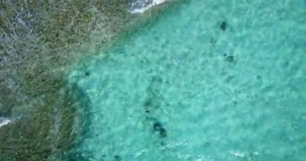 Vista Drone Ondas Água Azul Claro Com Linha Costa Férias — Vídeo de Stock