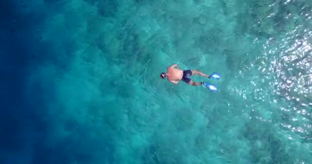 Молода Пара Закохана Насолоджуючись Відпочинком Тропічному Острові — стокове відео