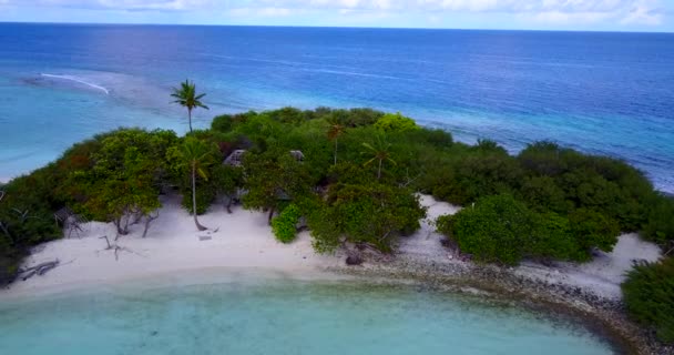 Calma Isla Tropical Durante Día Naturaleza Exótica República Dominicana Caribe — Vídeos de Stock