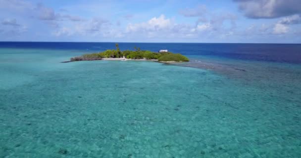 Letni Widok Morze Słoneczny Charakter Barbadosu Karaiby — Wideo stockowe