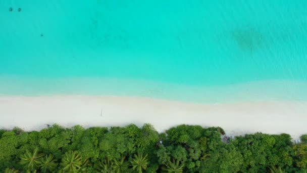 Drone Volando Por Encima Isla Día Situación Naturaleza Tropical Jamaica — Vídeos de Stock