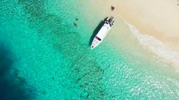 Vista Superior Barco Com Turistas Redor Cena Natural Jamaica Caribe — Vídeo de Stock