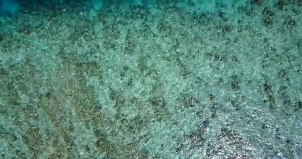 Eau Mer Transparente Avec Vue Sur Fond Voyager Indonésie — Video