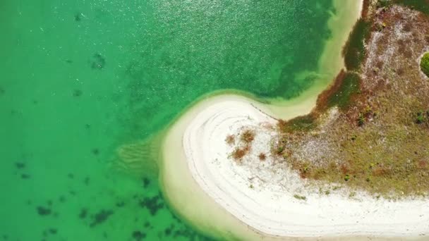 海辺のエリアを観察 ドミニカ共和国 カリブ海の夏の熱帯の風景 — ストック動画