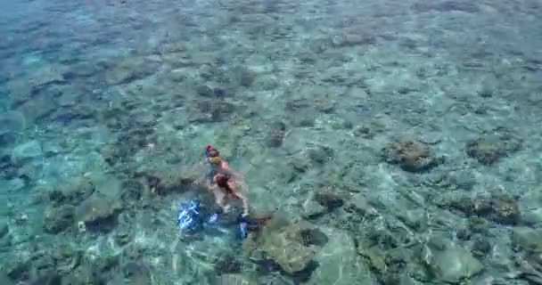 Joven Hombre Mujer Buceando Mar Turquesa Hermosa Pareja Descansando Resort — Vídeos de Stock
