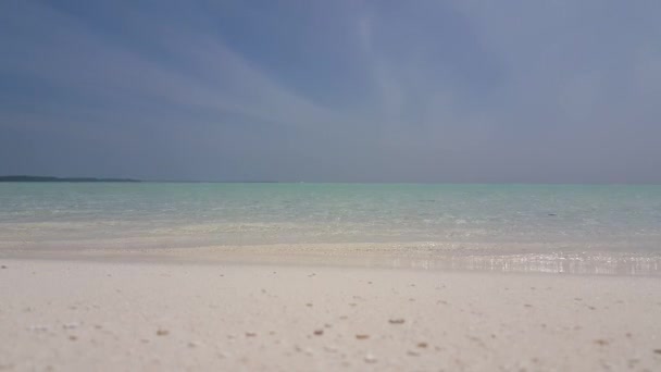 Calm Shoreline Transparent Water Tropical Nature Bahamas Caribbean — Stock Video