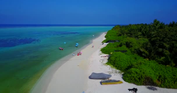 Litoral Clima Quente Ensolarado Natureza Exótica República Dominicana Caribe — Vídeo de Stock