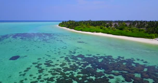 Alghe Fondo Marino Trasparente Isola Sfondo Viaggiare Alle Maldive — Video Stock