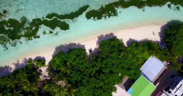 Mer Turquoise Claire Avec Île Verte Vacances Été République Dominicaine — Video