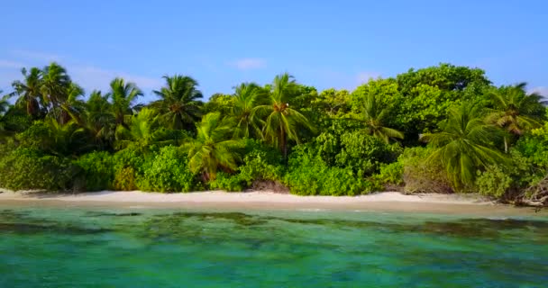 Grön Strand Med Höga Handflator Sommarlandskap Dominikanska Republiken Karibien — Stockvideo