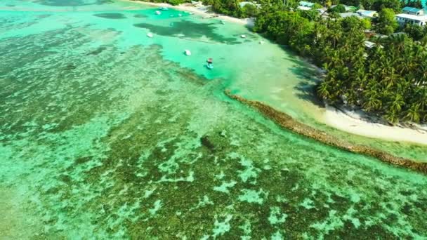 Transparant Zeewater Met Zeewier Bodem Tropische Vakantie Bali — Stockvideo