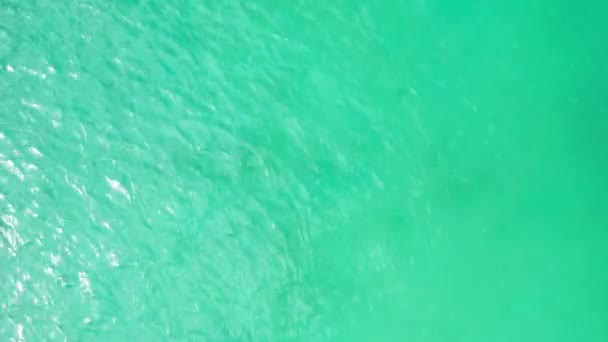 Zielona Falowana Powierzchnia Wody Letnia Wycieczka Dominikany Karaibów — Wideo stockowe