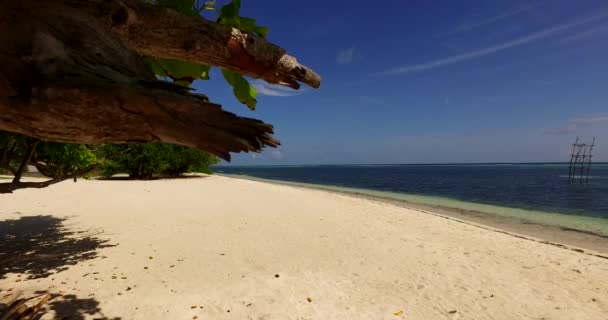 Bersihkan Garis Pantai Pagi Hari Perjalanan Eksotis Barbados Karibia — Stok Video