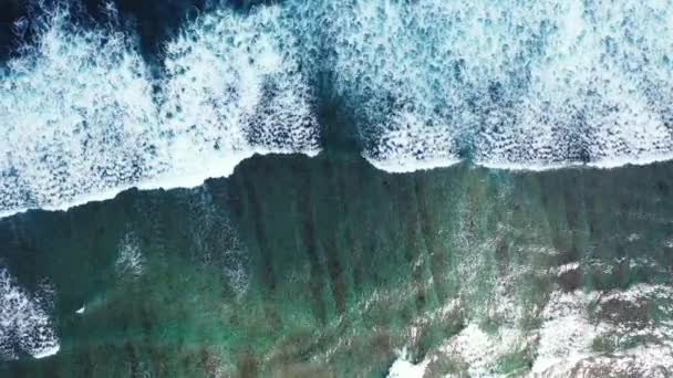 Surface Eau Mer Bleue Transparente Avec Des Vagues Voyage Exotique — Video