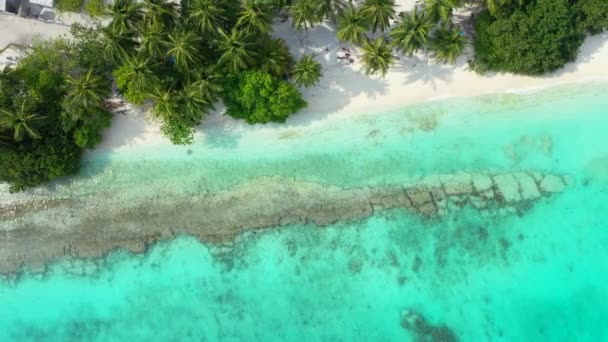 Luftaufnahme Der Felsigen Küste Der Tropischen Insel Indonesien — Stockvideo